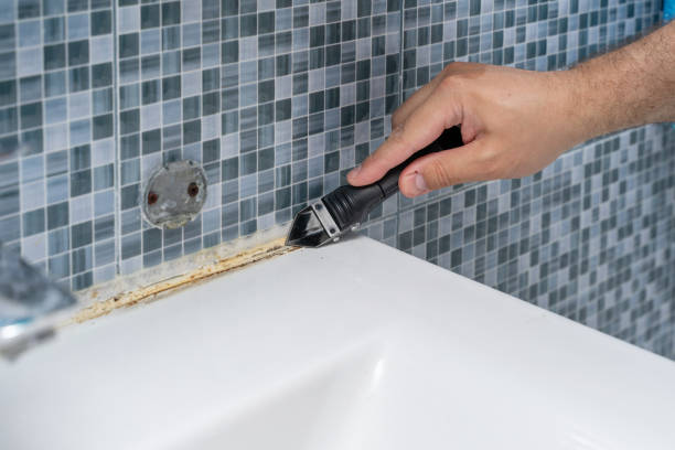 Best Local Mold Removal Service  in Poncha Springs, CO