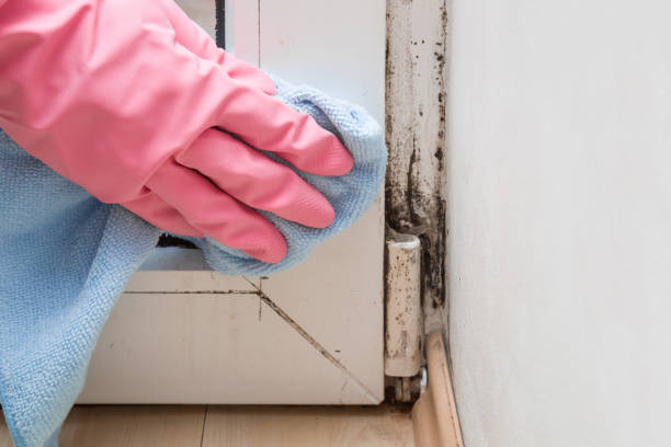 Best Crawl Space Mold Removal  in Poncha Springs, CO